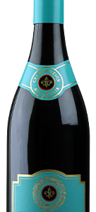 Celebration Selection Yarra Valley Shiraz 2019