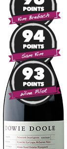 Dowie Doole The Architect Single Vineyard Cabernet 2019