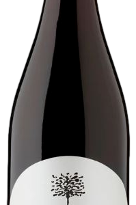 Tempus Two Silver Series Cabernet Sauvignon 2018 (6x 750mL) SEA