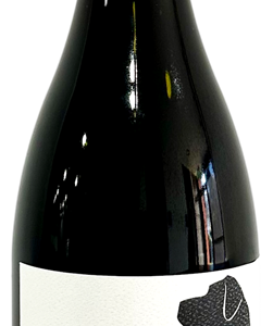 Bertie Shiraz 2022 (6x 750mL) VIC