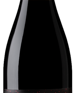 Sfera Sparkling Shiraz NV (6x 750mL) SA